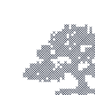 Component Tree